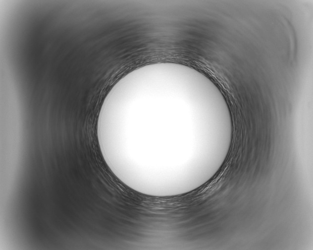 X0000096420384200801241008