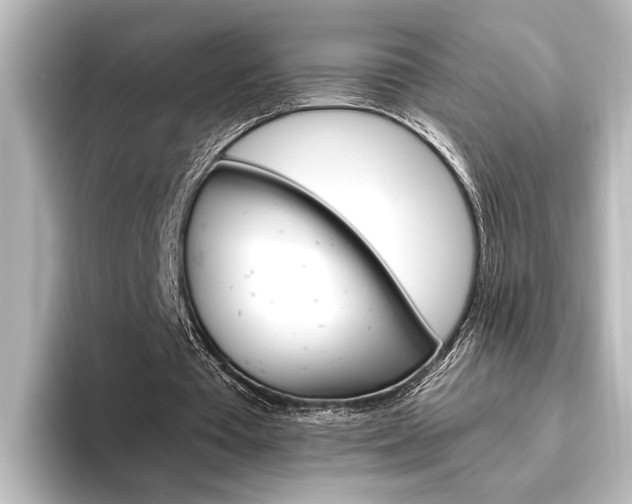 X0000096420385200801241008