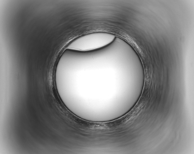 X0000096420386200801241008