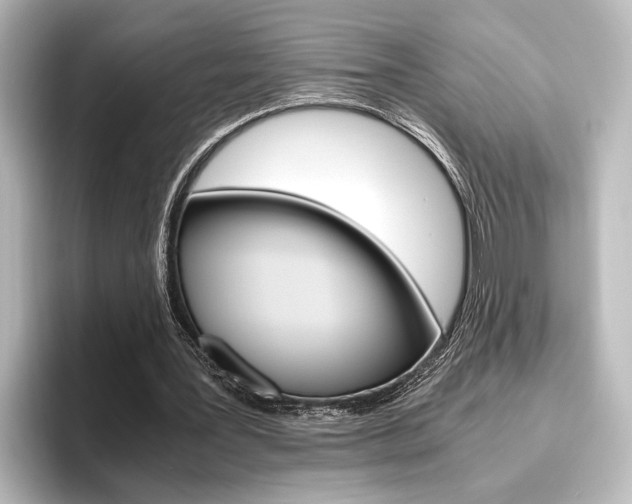 X0000096420387200801241008