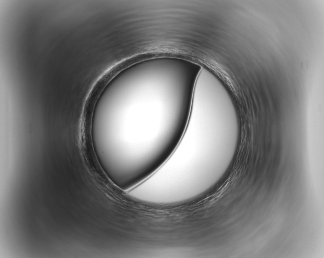 X0000096420388200801241008