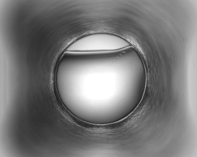 X0000096420389200801241008