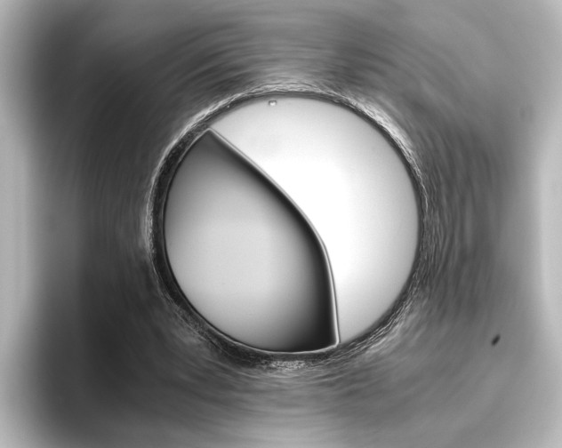 X0000096420391200801241008