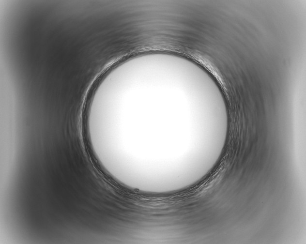 X0000096420395200801241007
