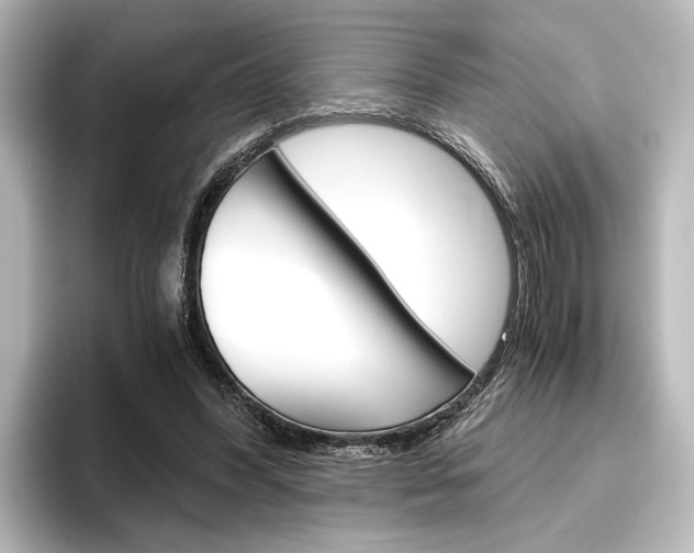X0000096420396200801241007