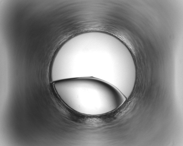 X0000096420397200801241007