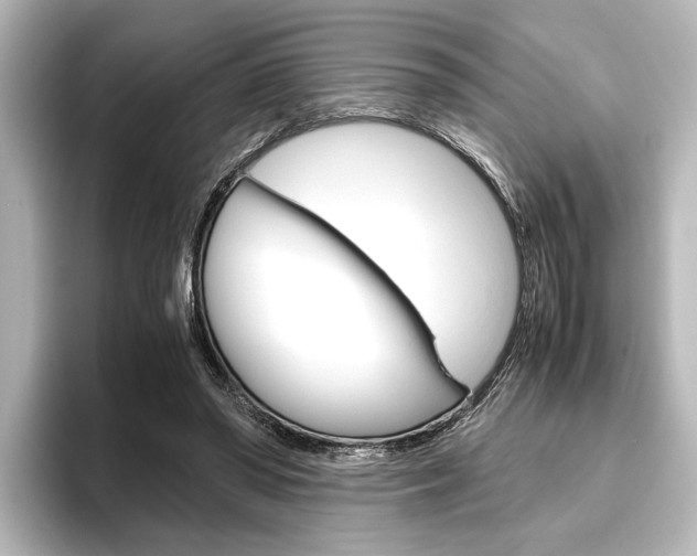 X0000096420398200801241007
