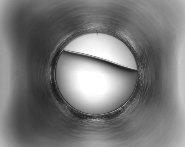 X0000096420400200801241007