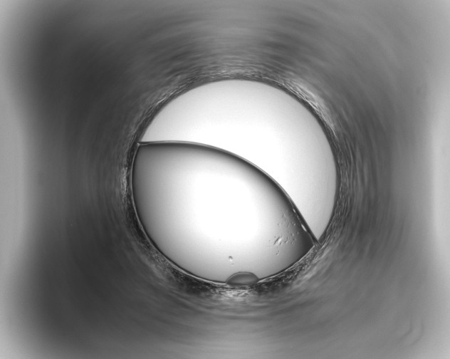 X0000096420401200801241007