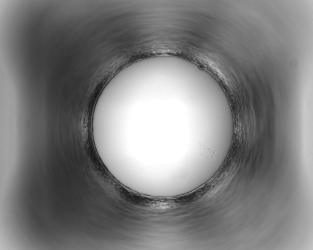 X0000096420402200801241007