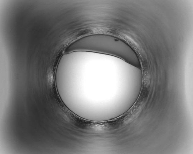 X0000096420405200801241007