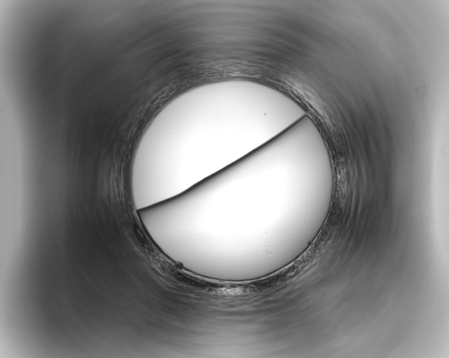 X0000096420406200801241007