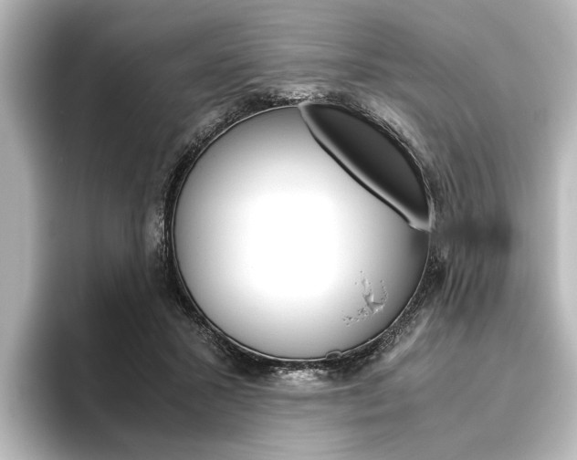X0000096420407200801241007