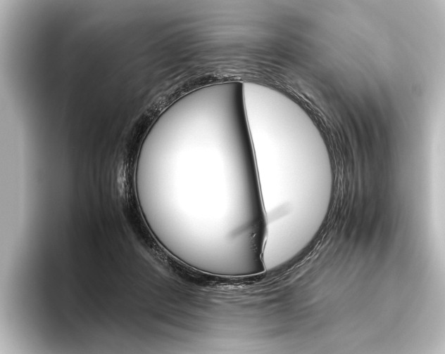 X0000096420408200801241007
