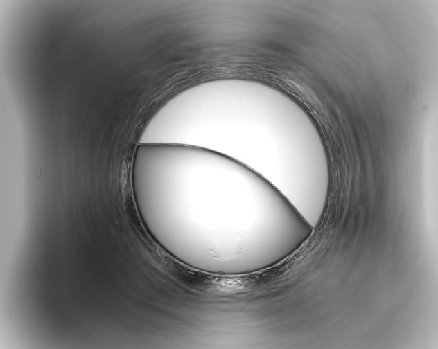X0000096420409200801241007