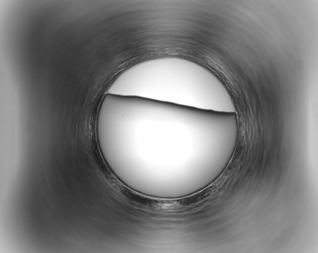X0000096420410200801241007