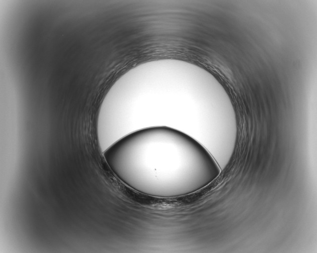 X0000096420412200801241007