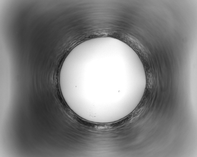 X0000096420414200801241007
