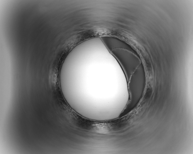 X0000096420417200801241007