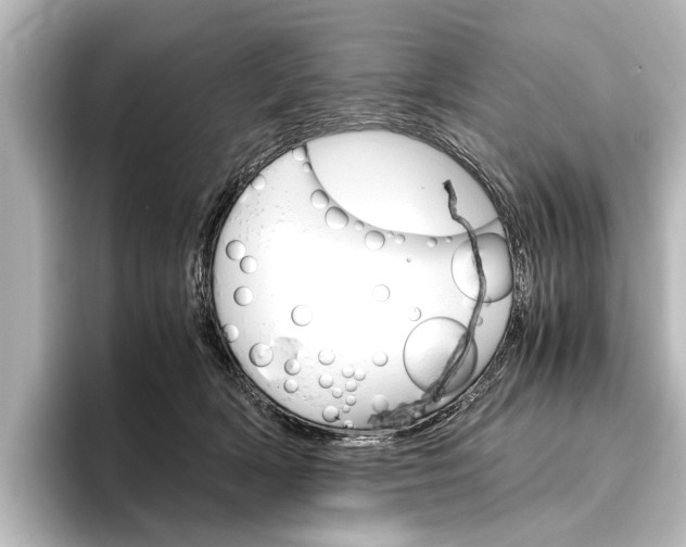 X0000096420418200801241007