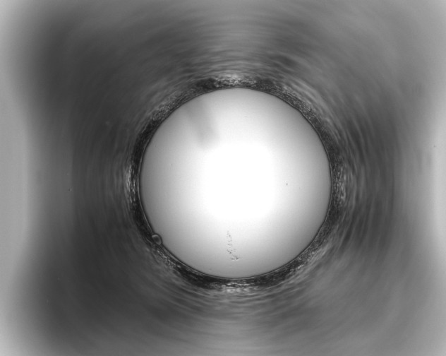 X0000096420420200801241007