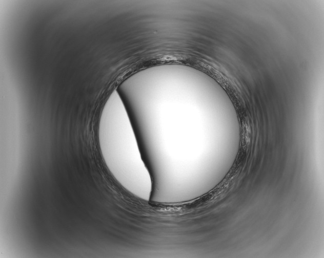 X0000096420422200801241007