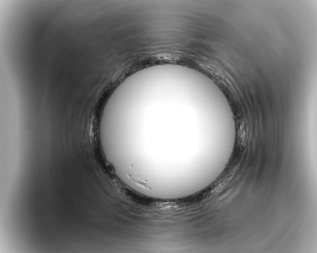 X0000096420424200801241007
