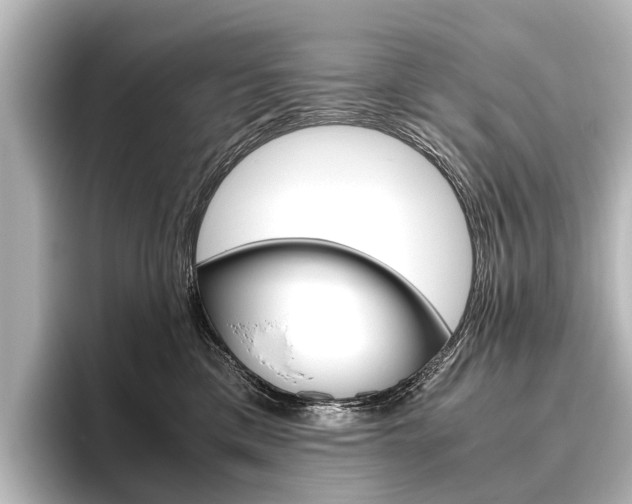X0000096420425200801241007
