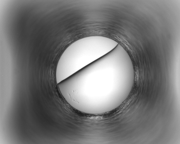 X0000096420426200801241007