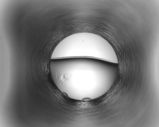 X0000096420428200801241007