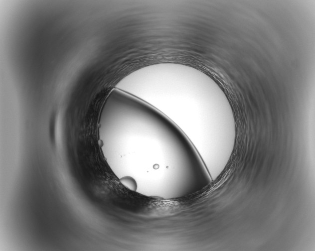 X0000096420429200801241007