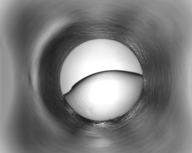 X0000096420430200801241007