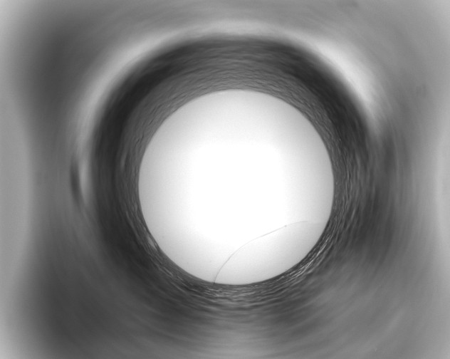 X0000096420431200801241007