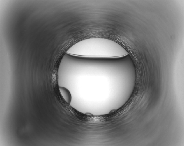 X0000096420432200801241007