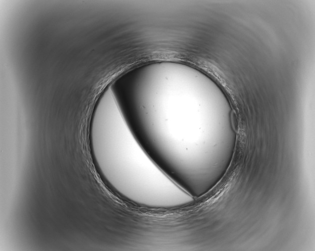 X0000096420433200801241006