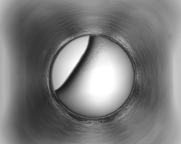 X0000096420434200801241006