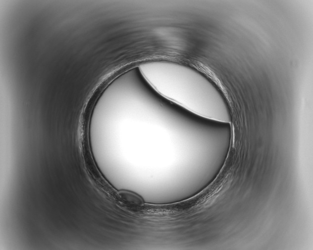 X0000096420435200801241006