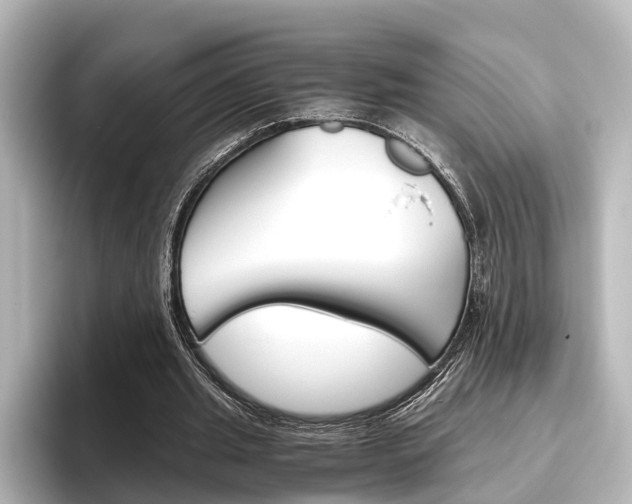 X0000096420437200801241006