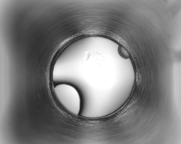 X0000096420438200801241006