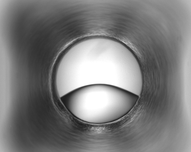 X0000096420440200801241006