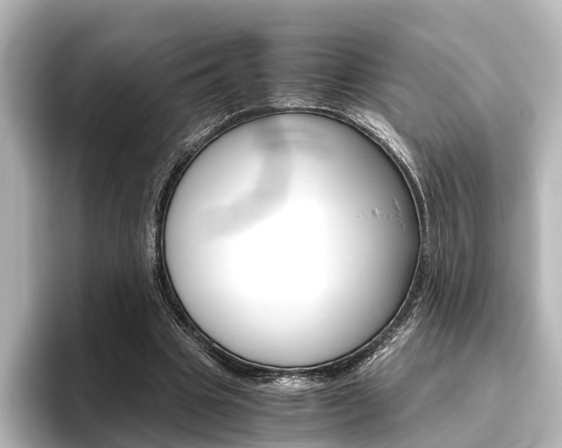 X0000096420441200801241006