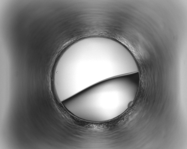X0000096420442200801241006