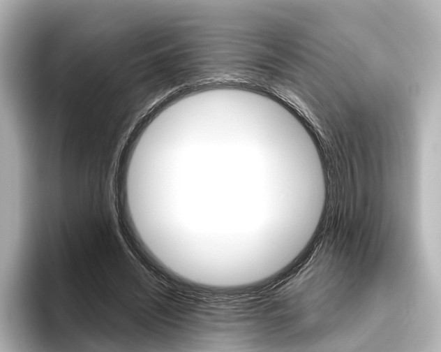 X0000096420444200801241007