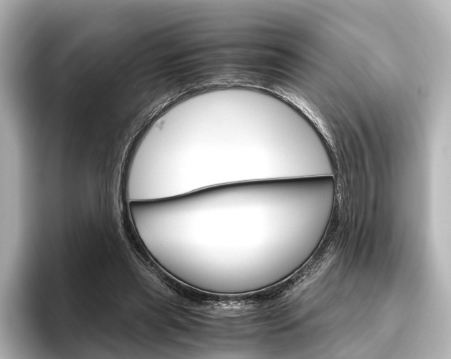 X0000096420445200801241007