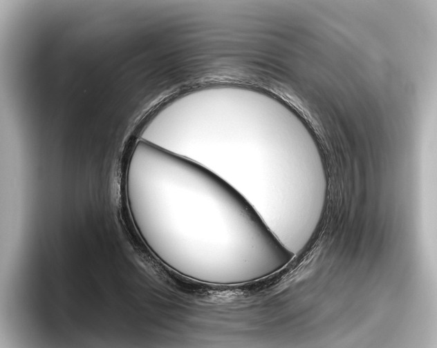 X0000096420446200801241007