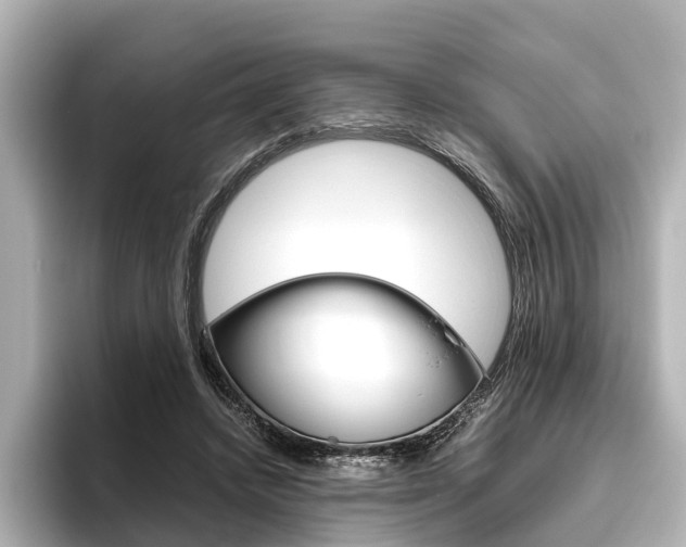 X0000096420448200801241007