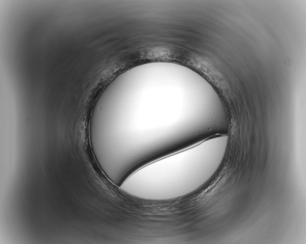 X0000096420449200801241007