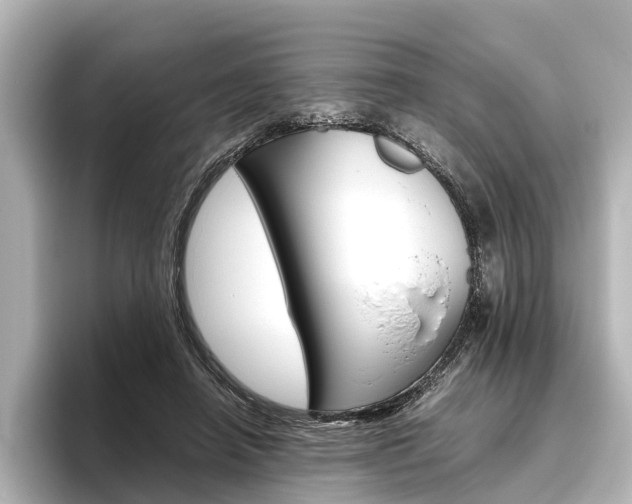 X0000096420450200801241007