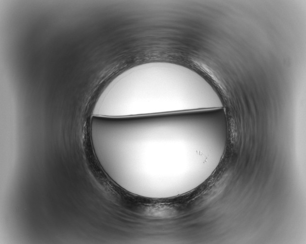 X0000096420451200801241007