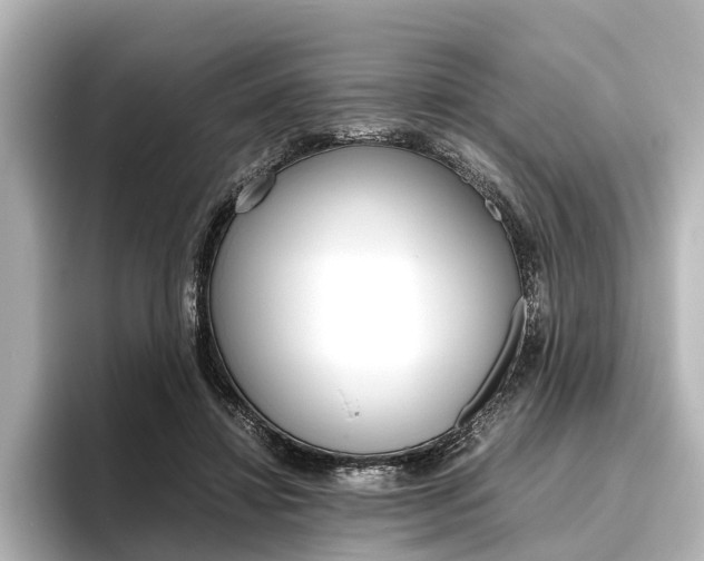 X0000096420452200801241007